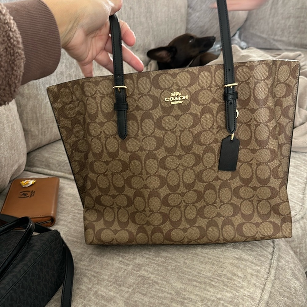 Coach purse (brown)